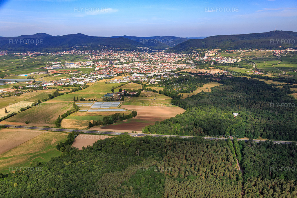 Luftbild: Stadtübersicht aus Osten in Neustadt an der Weinstraße im Bundesland Rheinland-Pfalz in Deutschland. Foto: IMG_080946.jpg vom 14.06.2015 durch Werner Riehm/FLY-FOTO.de