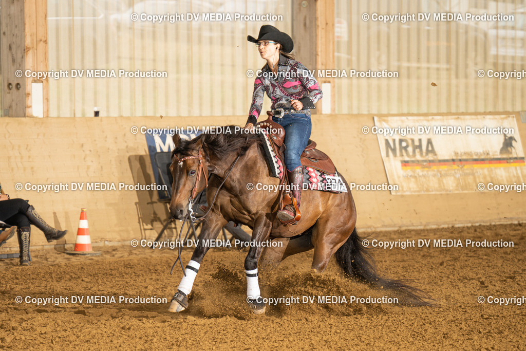 LAU00721 | dv-media-shop - Realisiert mit Pictrs.com