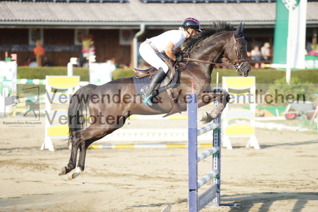 DSC00731 | equestrian-live-com