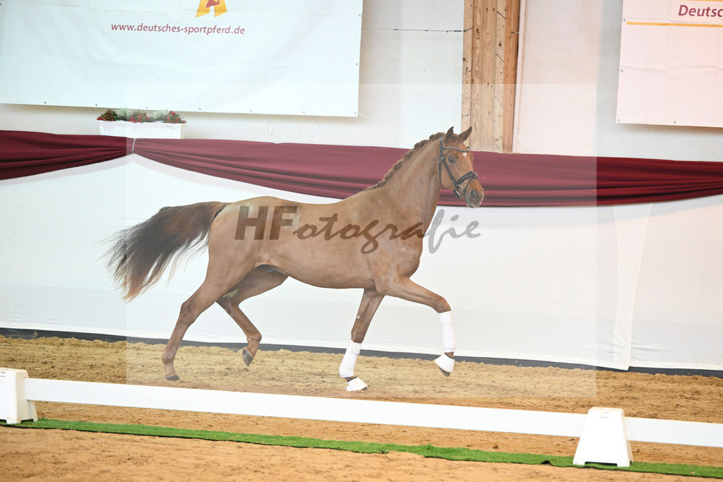 Kat-Nr. 52 v. Vaderland_Galneder_66220742 | hf-fotografie - Realisiert mit Pictrs.com