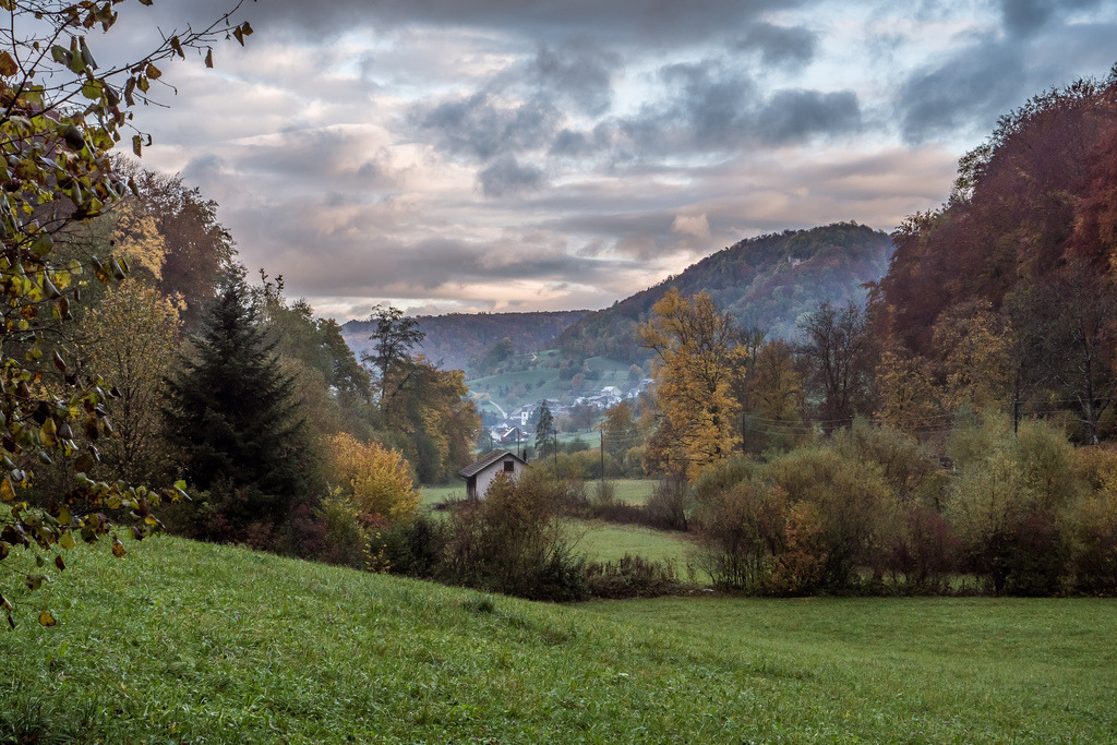 Sonnenaufgang im Herbst beim Talweiher Anwil Richtung Rothenfluh | Schöne Fotografien aus der Stadt und der Natur zum bestellen oder selber hochladen. Druck auf Foto, Postkarte, Kalender, FineArt Hahnemühle, Alu-Dibond , Akustikbilder zur Absorption von Schall und Lärm etc. - Realisiert mit Pictrs.com