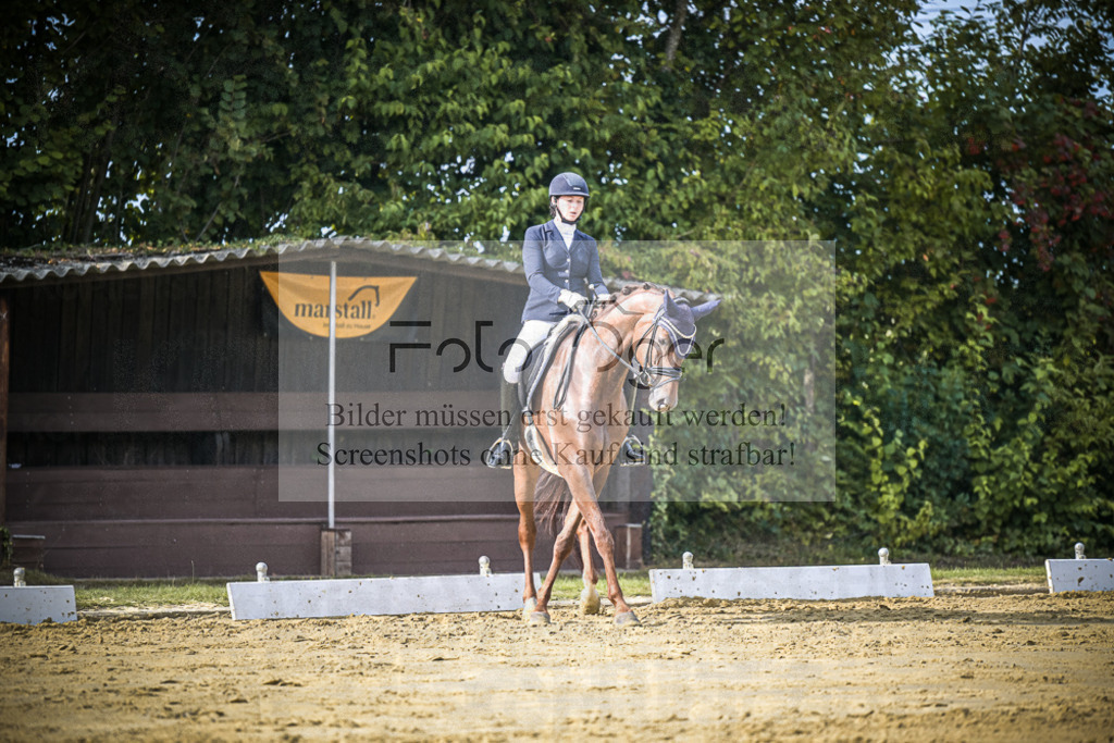 DOS_8088 | Entdecke hochwertige Reitturnierfotos von Foto Oger. Professionell, emotional und authentisch – jetzt Lieblingsmomente im Shop bestellen.Deutschlandweite Turnierfotografie. - Realisiert mit Pictrs.com