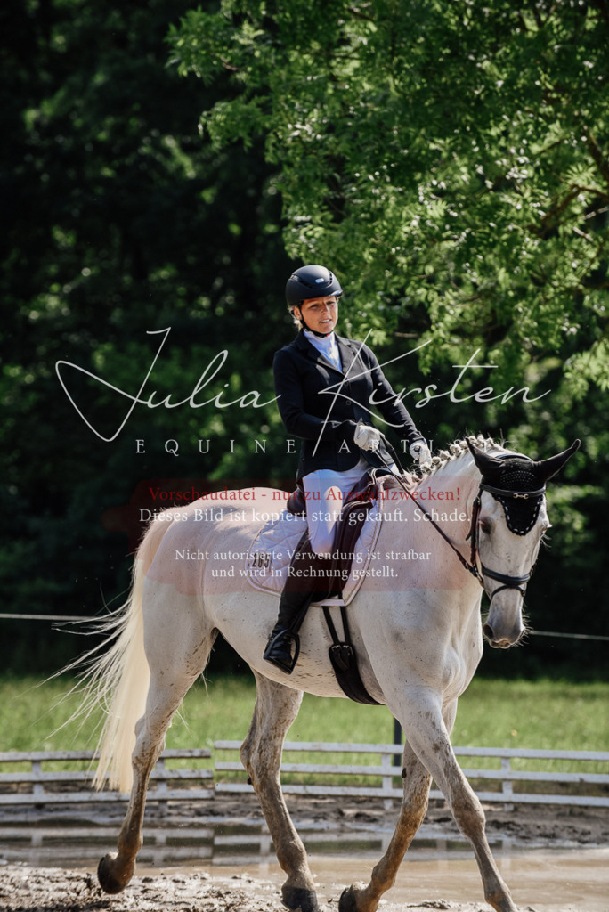 DSC_0351 | Pferde- und Turnierfotografie in Westsachsen. Pferdeportraits, Auftragszeichnungen und intuitive Kunst.