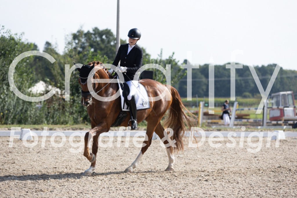 IMG_3169 | Creatify Fotografie