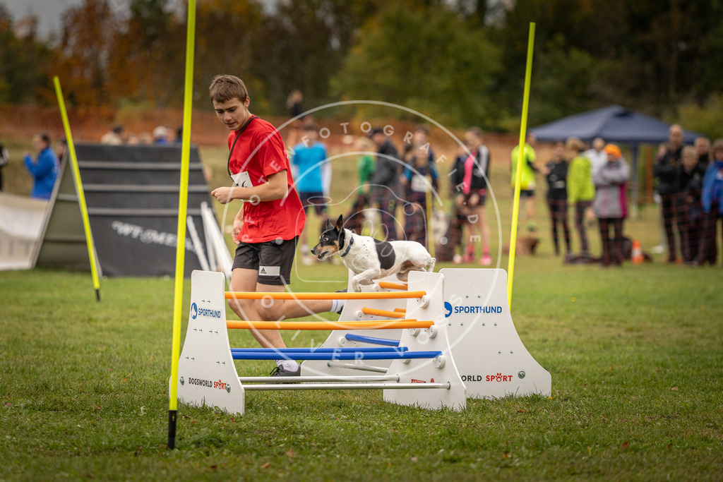 Pfotenfotografie_DV3A6305 | Hundefotografie, Tierfotograf, Pfotenfotografie, Fotoshooting Hund, Hunde Portrait, Hundesport, Hundeportraits, Heideshooting, Hunde, Sportfotograf, Hundefotograf, Turnierhundsport, THS,  - Realisiert mit Pictrs.com