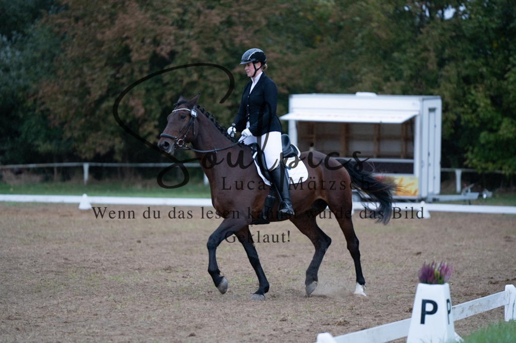 A7V04906 | Pferdefotograf