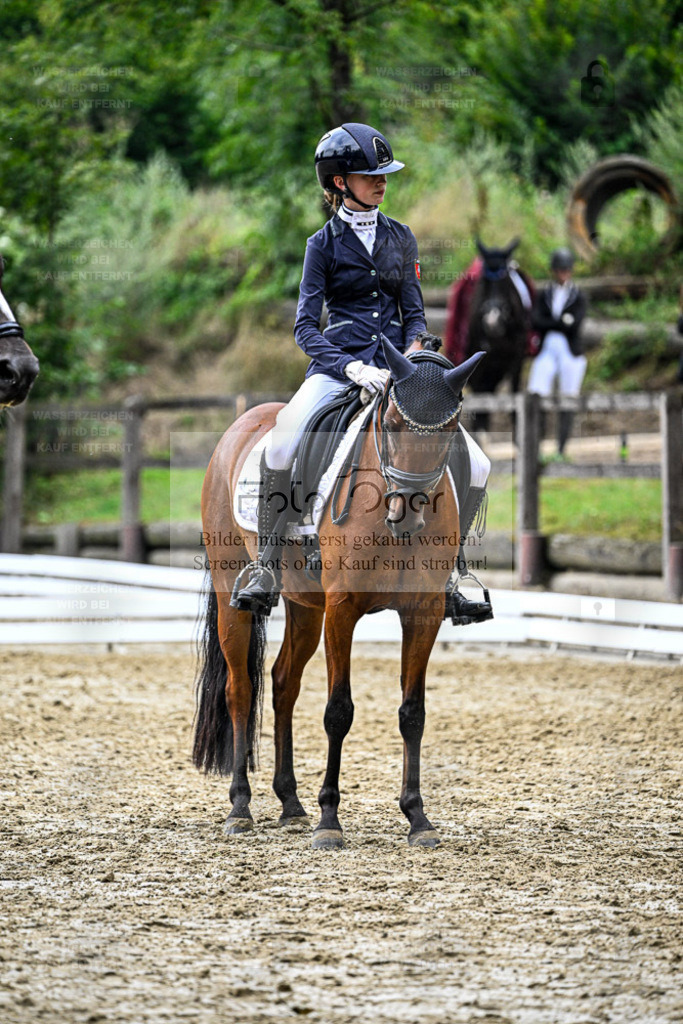 Bissendorfer Reitertage | Entdecke hochwertige Reitturnierfotos von Foto Oger. Professionell, emotional und authentisch – jetzt Lieblingsmomente im Shop bestellen. - Realisiert mit Pictrs.com
