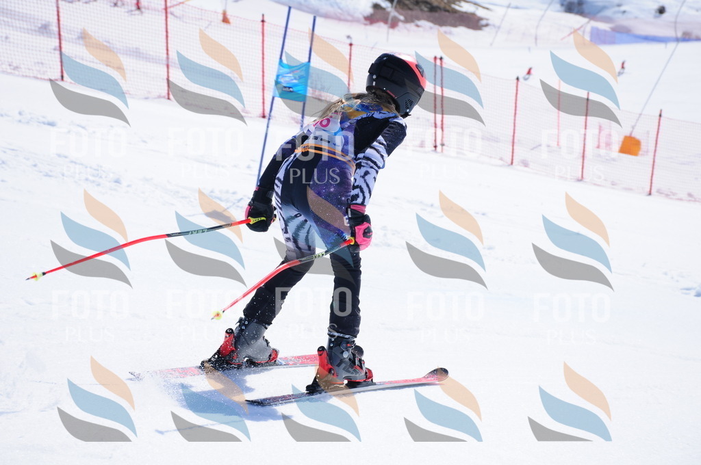 DSC_4708 | holidayphoto