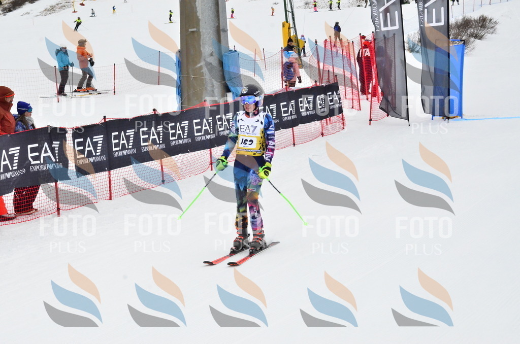 _ELE3871 | holidayphoto