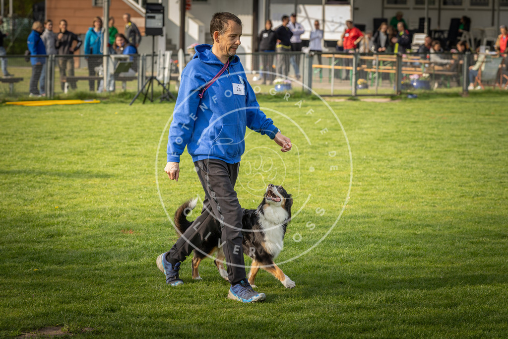 Pfotenfotografie_DV3A4812 | Hundefotografie, Tierfotograf, Pfotenfotografie, Fotoshooting Hund, Hunde Portrait, Hundesport, Hundeportraits, Heideshooting, Hunde, Sportfotograf, Hundefotograf, Turnierhundsport, THS,  - Realisiert mit Pictrs.com