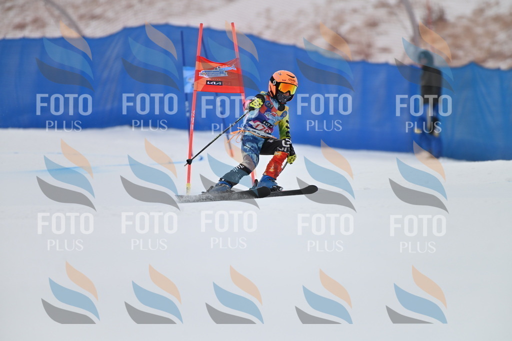 BGV_0972 | holidayphoto