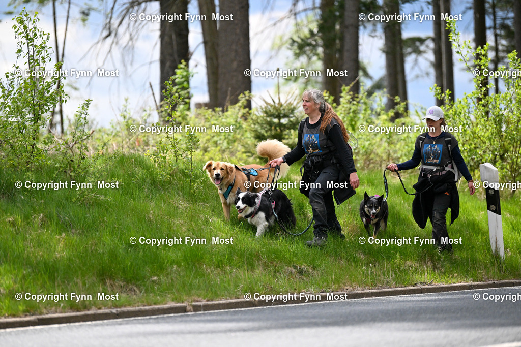 DSC_6088 | Hallo und herzlich Willkommen auf meiner Shop-Seite Fynn Most.

Ich wünsche Dir viel Spaß beim stöbern durch die Bilder, wenn Du Fragen hast oder Bilder vermisst, kannst du mir gerne eine Nachricht schreiben. - Realisiert mit Pictrs.com
