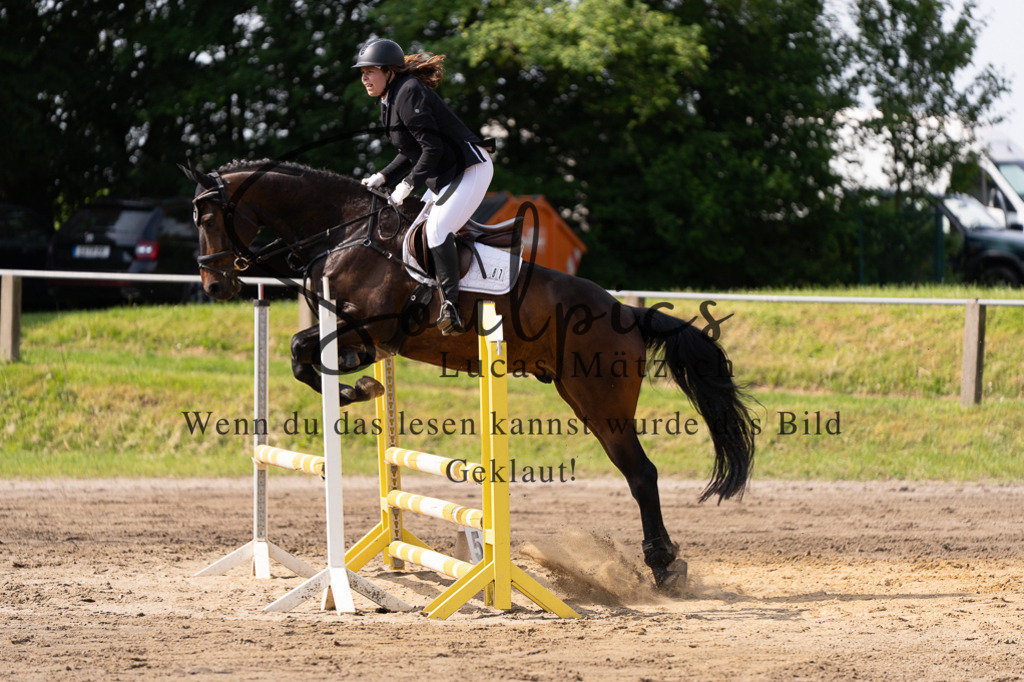 A7507425 | Turnier/Reitfotograf