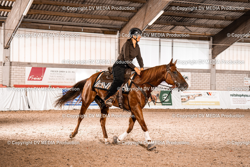 ZH300292 | dv-media-shop - Realisiert mit Pictrs.com