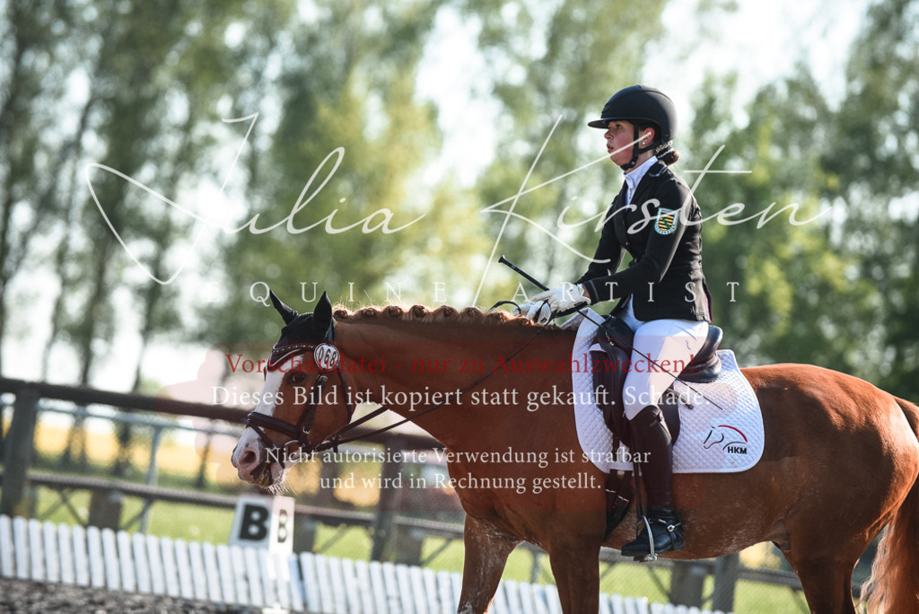 DSC_8271 | Pferde- und Turnierfotografie in Westsachsen. Pferdeportraits, Auftragszeichnungen und intuitive Kunst.