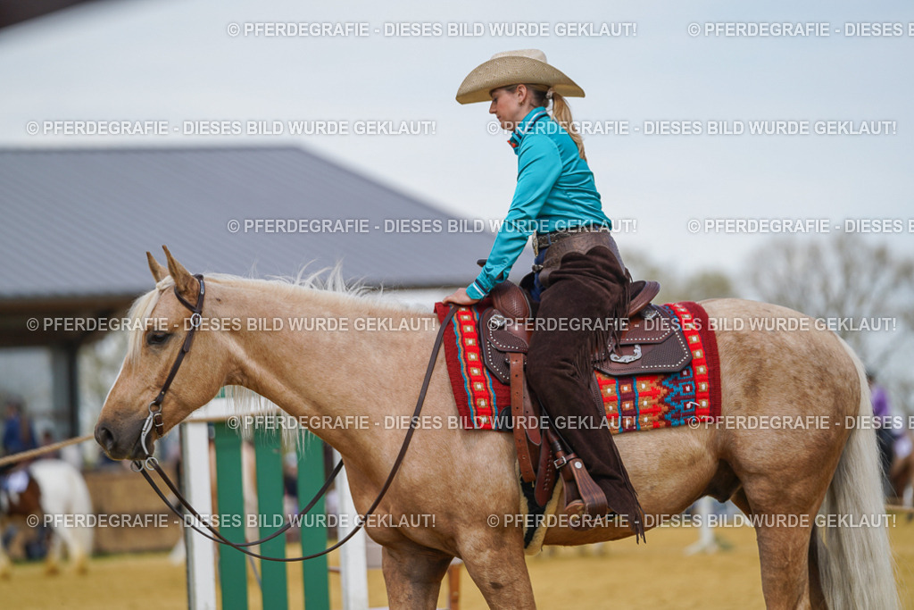 DSC05448 | Pferdegrafie