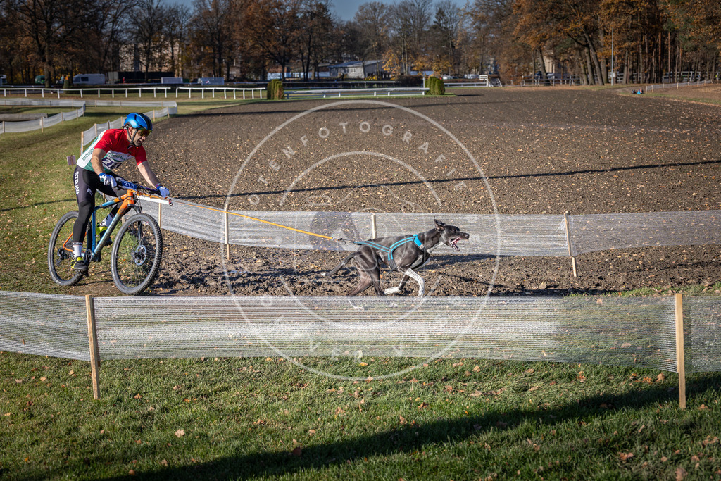 CaniXpix_DV3A3264 | Hundefotografie, Tierfotograf, Pfotenfotografie, Fotoshooting Hund, Hunde Portrait, Hundesport, Hundeportraits, Heideshooting, Hunde, Sportfotograf, Hundefotograf, Turnierhundsport, THS,  - Realisiert mit Pictrs.com