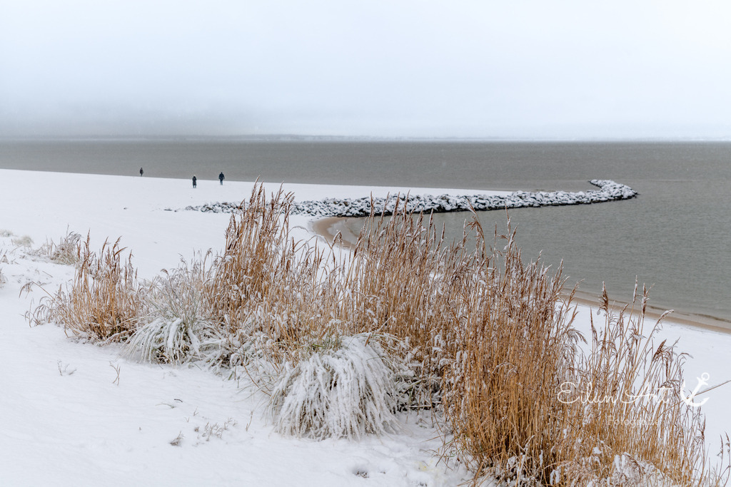 20260103-EAF_8213 | Eilun-Art-Fotografie Levke Martens, ihre Fotografin für Immobilien- und Landschaftsfotografie auf Föhr, Föhrer Motive als Poster, Leinwand, hinter Acrylglas oder stelle dir deinen eigenen Monatskalender zusammen, mit nur einem Klick