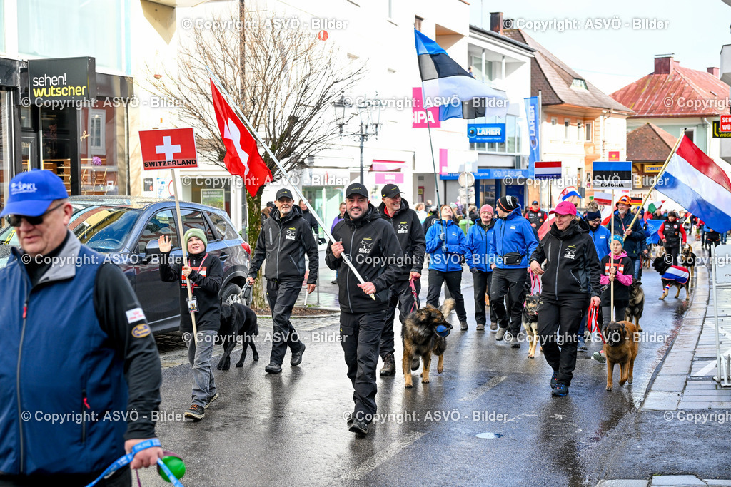 ASVÖ_ Tracking Dog World Championship 2025_ 31.03.2025-197 | 31.03.2025, AUT, ASVÖ, Tracking Dog World Championship // FCI IGP Fährtenhundeweltmeisterschaft 2025©fodo.media / Harald Dostal - Realisiert mit Pictrs.com