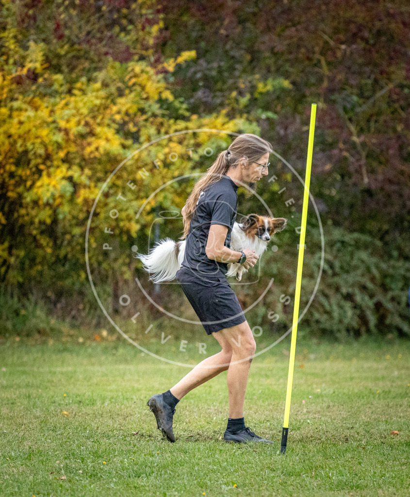 Pfotenfotografie_DV3A1514 | Hundefotografie, Tierfotograf, Pfotenfotografie, Fotoshooting Hund, Hunde Portrait, Hundesport, Hundeportraits, Heideshooting, Hunde, Sportfotograf, Hundefotograf, Turnierhundsport, THS,  - Realisiert mit Pictrs.com