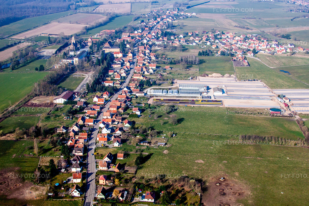 Aerial view: Agricultural fields and arable land in Walbourg in the state Bas-Rhin, France. – Photo: IMG_62779.jpg taken on 03/09/2014 by Werner Riehm/FLY-FOTO.com – Resolution of the original: 4752 x 3168 px