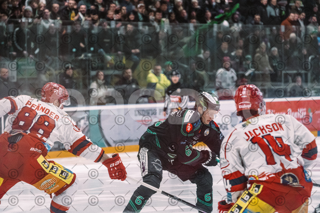 Alligators_vs_Deggendorf_23_01_2026-30 | Höchstadt Alligators Fotogalerie: Eishockey-Action aus Franken. Professionelle Spielfotos, Portraits & Stadionbilder zum Download. Jetzt entdecken! - Realisiert mit Pictrs.com