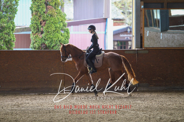 DKP42576 | Turniersportfotografie; Pferdefotografie; Dressurfotografie