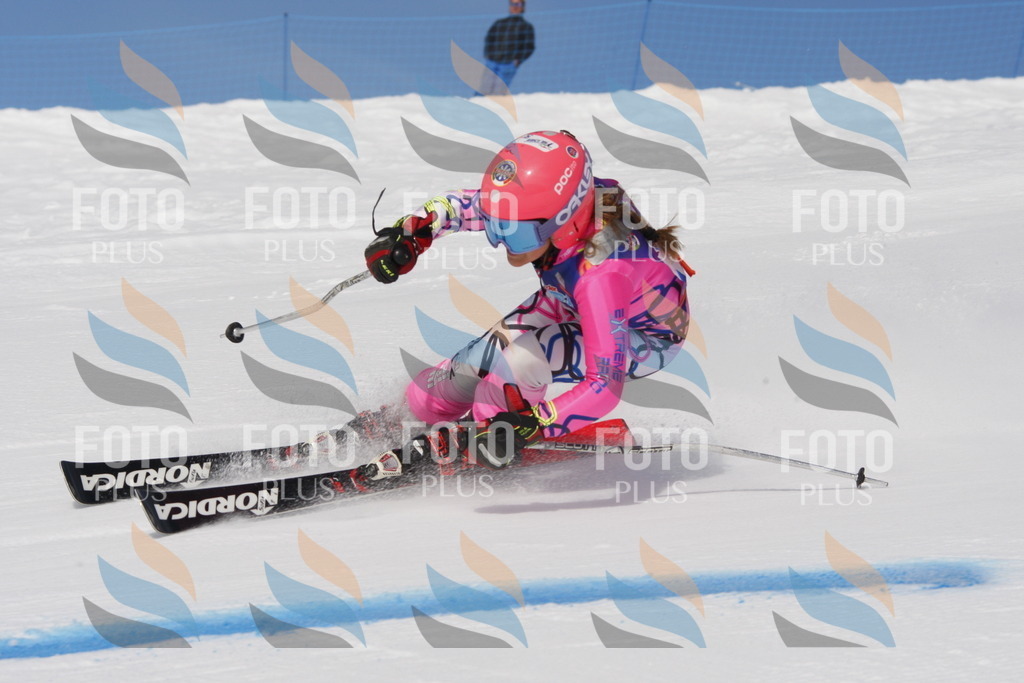 _W1G0408 | holidayphoto