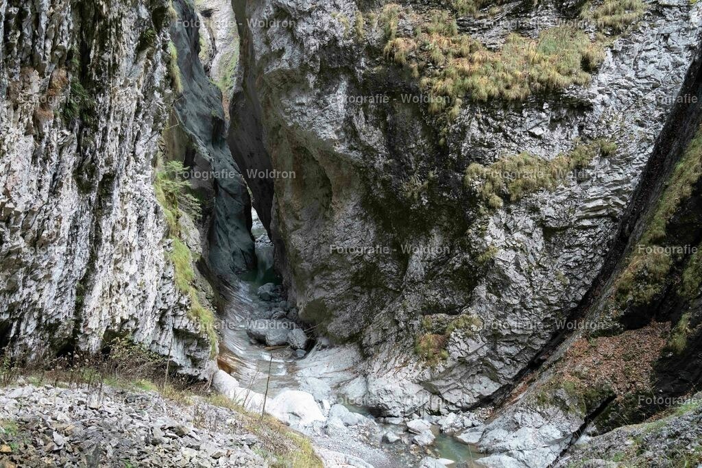 20221109 Rappenlochschlucht Dornbirn-5 | Fotografie Woldron