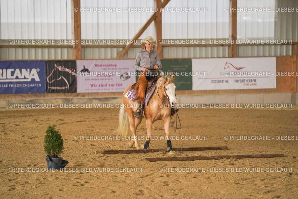 DSC01344 | Pferdegrafie