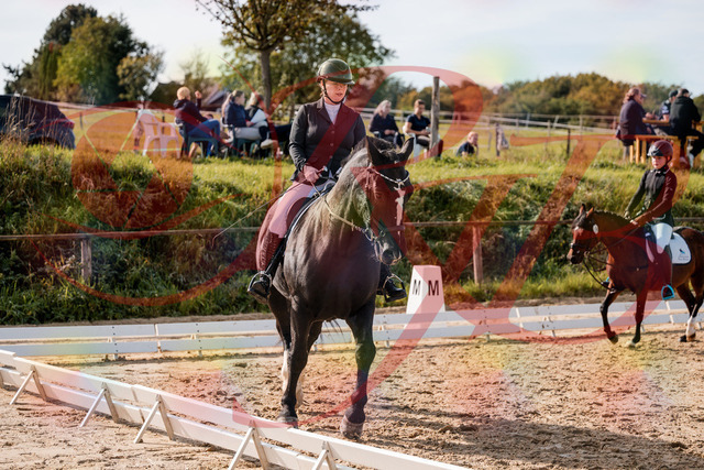 2026_10_03_Siefer-Hof_120829_Z63_38036059 | Professionelle Reitsport-, Turnier- und Eventfotografie von Robert Broda. Galerien mit ausgewählten und bearbeiteten Bildern direkt online ansehen und bestellen.