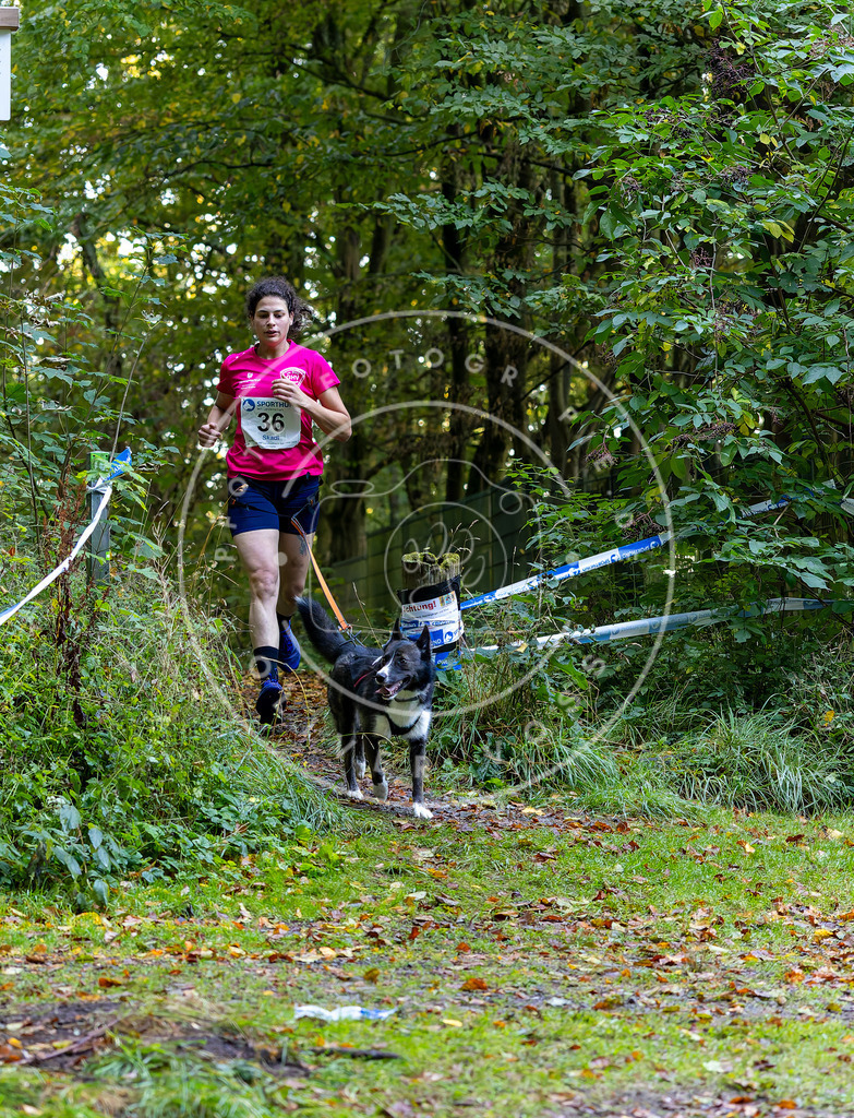 Pfotenfotografie_DV3A6739 | Hundefotografie, Tierfotograf, Pfotenfotografie, Fotoshooting Hund, Hunde Portrait, Hundesport, Hundeportraits, Heideshooting, Hunde, Sportfotograf, Hundefotograf, Turnierhundsport, THS,  - Realisiert mit Pictrs.com