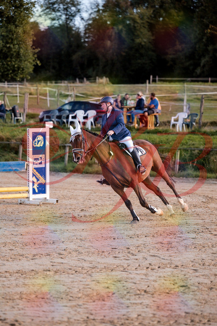 2026_10_03_Siefer-Hof_170358_Z81_00807219 | Professionelle Reitsport-, Turnier- und Eventfotografie von Robert Broda. Galerien mit ausgewählten und bearbeiteten Bildern direkt online ansehen und bestellen.