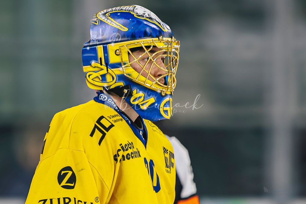 U21_EHCB vs HCD_wb20260308-0581 | Sportbilder, Sportfotograf, Hochzeits- und Eventfotografin, Flugshows, Portraits und Tiershooting, Aviation, Downhill, Nationalleague, Swissleague, International