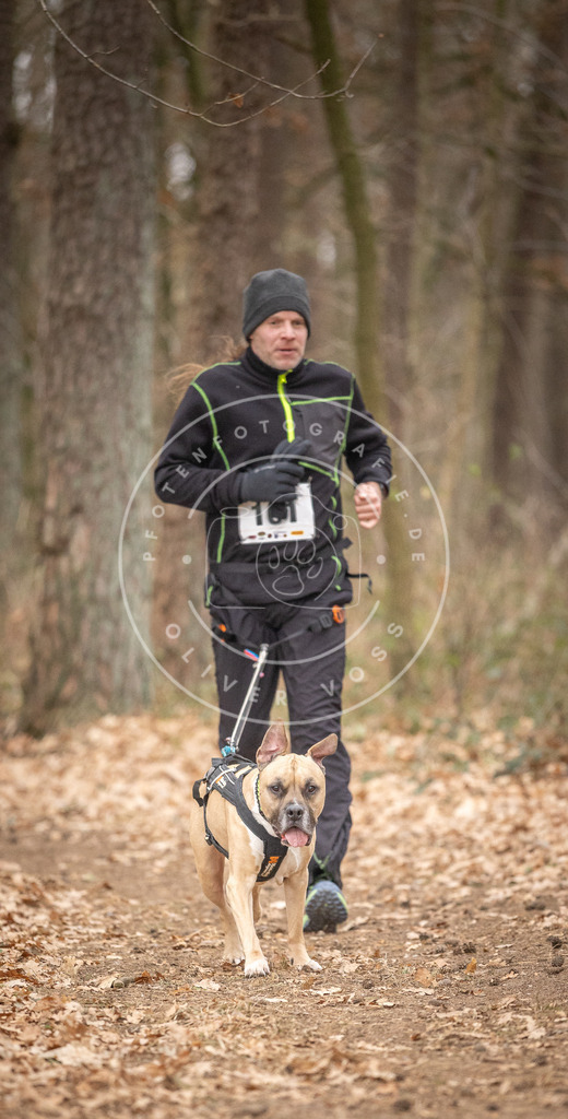 Pfotenfotografie_DV3A7637 | Hundefotografie, Tierfotograf, Pfotenfotografie, Fotoshooting Hund, Hunde Portrait, Hundesport, Hundeportraits, Heideshooting, Hunde, Sportfotograf, Hundefotograf, Turnierhundsport, THS,  - Realisiert mit Pictrs.com