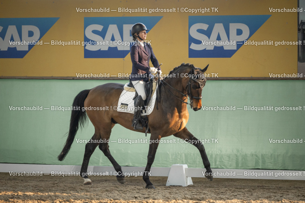 _D5A3375 | Emotionale Pferde- & People-Fotografie rund um Heidelberg, Leimen & Umgebung. Natürliche Fotos von Pferd, Mensch & Familie. Jetzt Termin sichern!