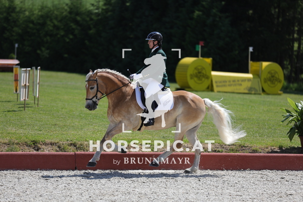 0P6A0524 | Willkommen bei Brunnmayr - Design & Fotografie – Ihrem Spezialisten für Reitturniere und Pferdeveranstaltungen in Oberösterreich, Salzburg und Bayern! Seit über 17 Jahren sind wir leidenschaftlich dabei.