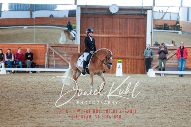 _62_5795 | Turniersportfotografie; Pferdefotografie; Dressurfotografie