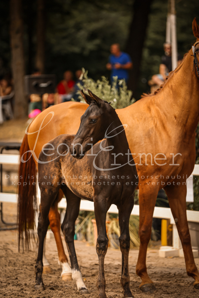 SaPA00145 | Leoni Ertmer Photography - Realisiert mit Pictrs.com