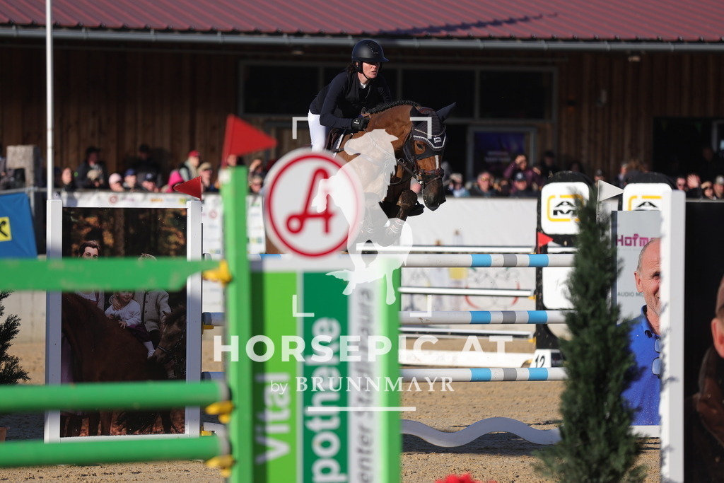 0P6A2311 | Willkommen bei Brunnmayr - Design & Fotografie – Ihrem Spezialisten für Reitturniere und Pferdeveranstaltungen in Oberösterreich, Salzburg und Bayern! Seit über 17 Jahren sind wir leidenschaftlich dabei.