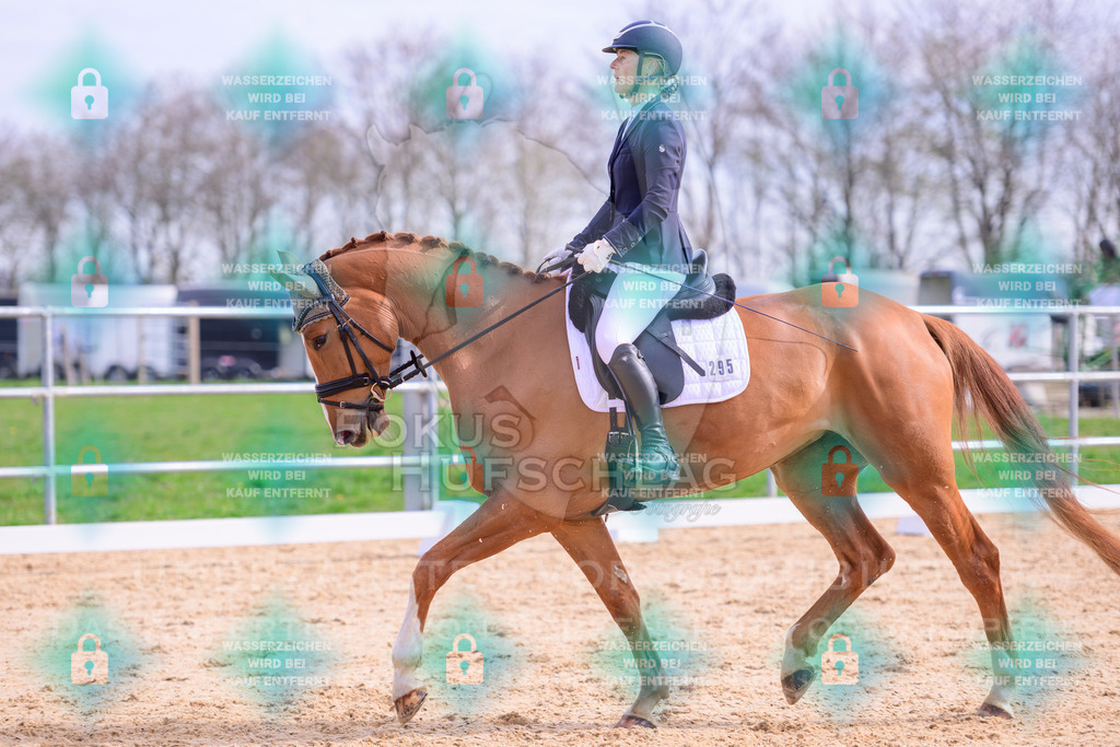 09042026-Mammendorf-Prfg01-0164 | Fokus Hufschlag Fotografie - Realisiert mit Pictrs.com