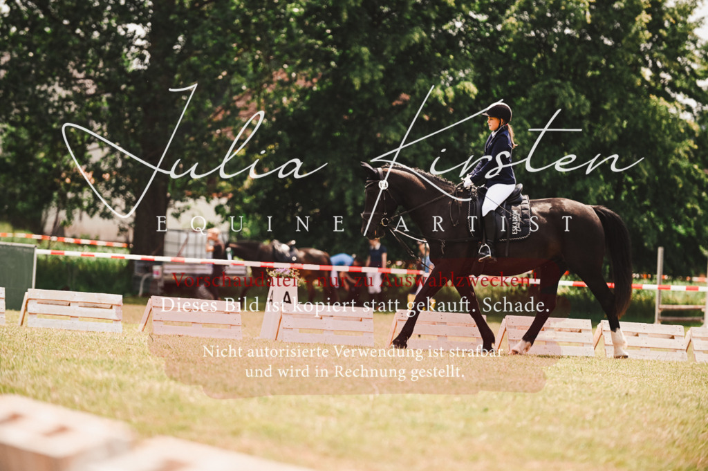 DSC_6292 | Pferde- und Turnierfotografie in Westsachsen. Pferdeportraits, Auftragszeichnungen und intuitive Kunst.