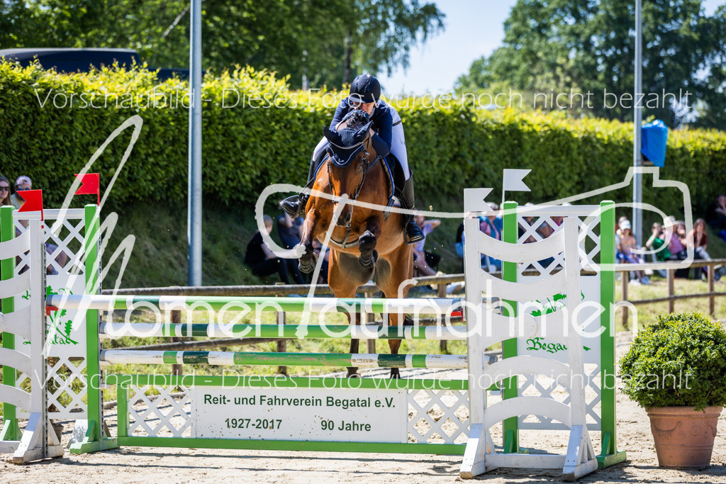 Donop24-L-Spr-030 | MomenTaufnahmen Pferdesportfotos