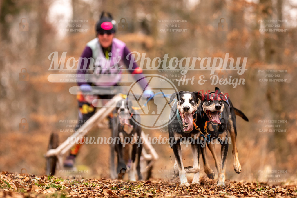 AKM_ST_2023_SAM_DR4-35 | PayLife