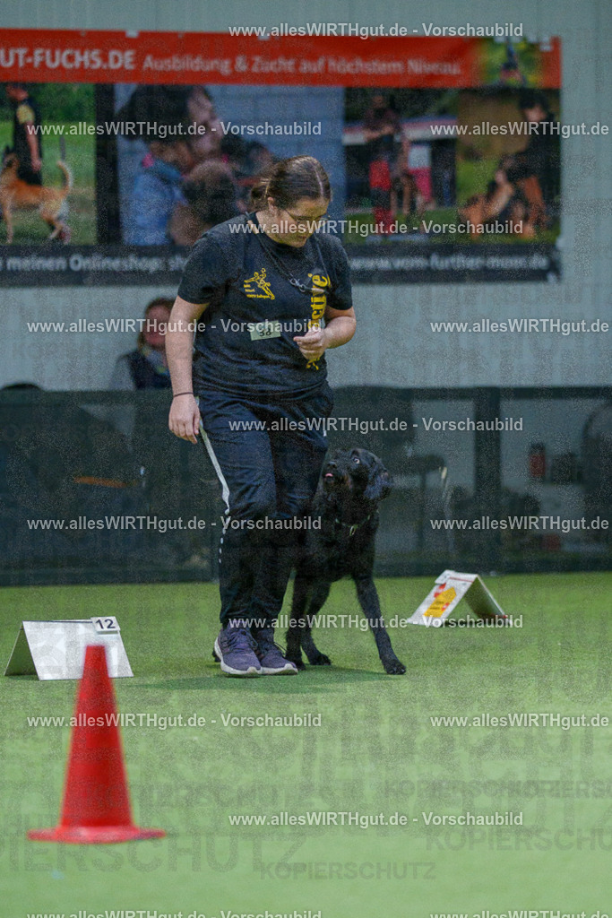 7R501158 | Professionelle Tierfotografie in Mönchengladbach von Daniel Wirth (allesWIRTHgut). Liebevolle & natürliche Bilder von Hunden & Katzen für unvergessliche Erinnerungen.