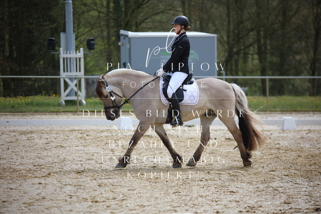 IMGT3181 | pl-fotografie