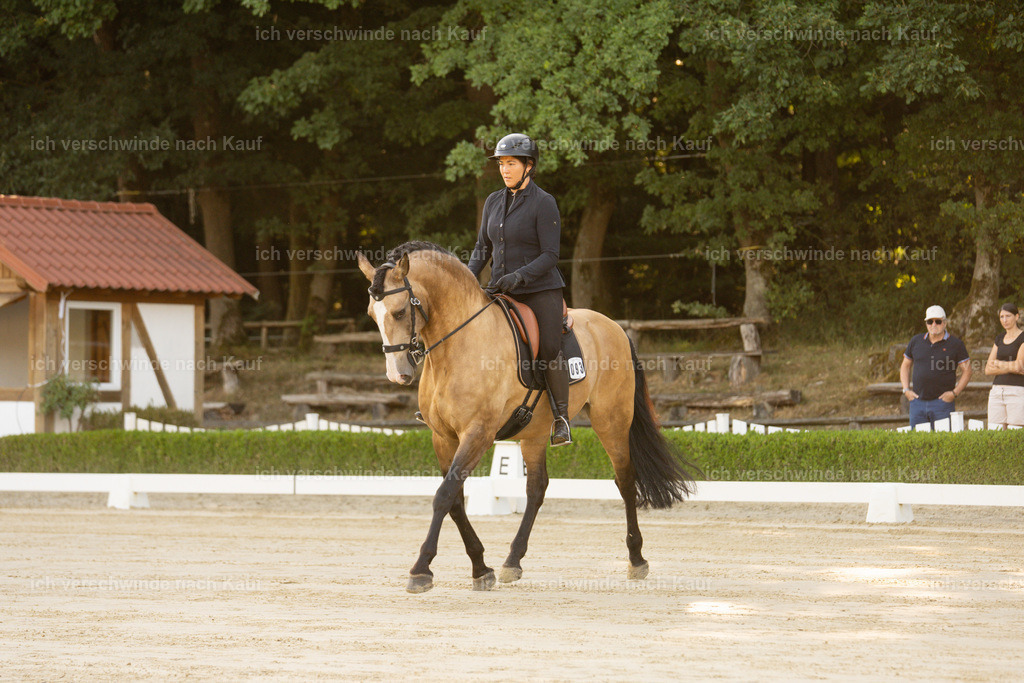 WA_DR_93_SinaFilmArt_IN09914 | working equitationturnier fotograf videograf stoibphotography marixx film working equitation deutschland reitsport turnierfotografie eventfotografie equestrian events