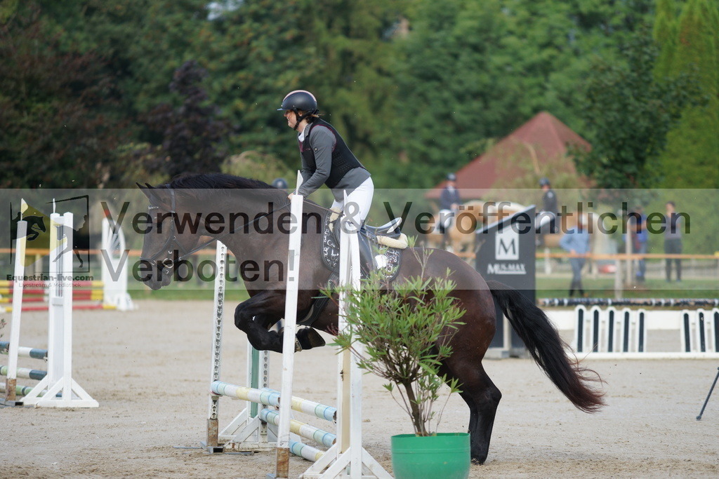 DSC05806 | equestrian-live-com