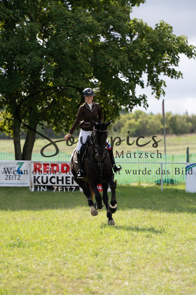 A7V05249 | Pferdefotograf