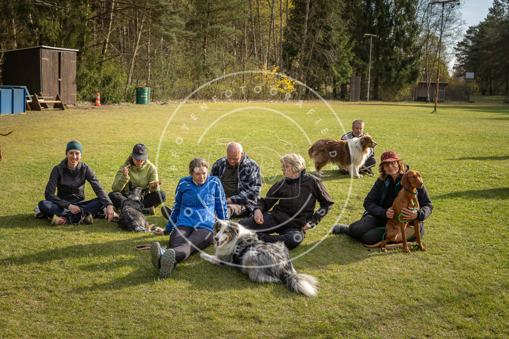 Pfotenfotografie_DV3A3833 | Hundefotografie, Tierfotograf, Pfotenfotografie, Fotoshooting Hund, Hunde Portrait, Hundesport, Hundeportraits, Heideshooting, Hunde, Sportfotograf, Hundefotograf, Turnierhundsport, THS,  - Realisiert mit Pictrs.com